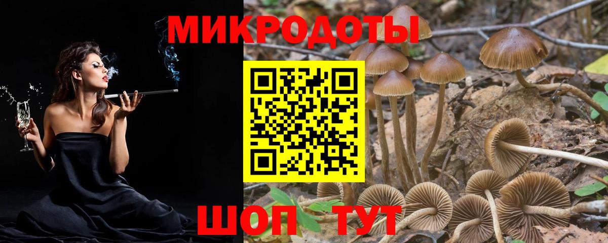 Псилоцибиновые грибы Psilocybine cubensis Новочеркасск